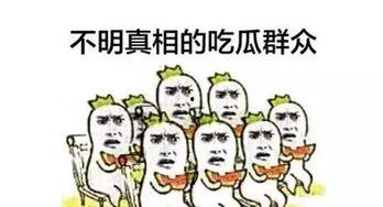吃瓜群众又被称为什么人,网络时代的旁观者与评论家