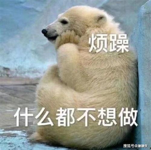 帅小伙子吃瓜群众图片搞笑,帅小伙子吃瓜群众欢乐瞬间