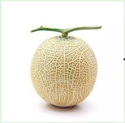 甜美吃瓜群众图片高清壁纸,高清壁纸下的甜美生活瞬间