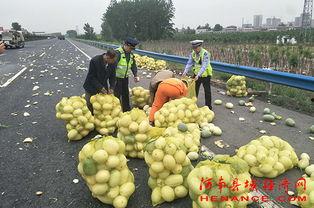 鹤鸣吃瓜群众,揭秘娱乐圈幕后风云