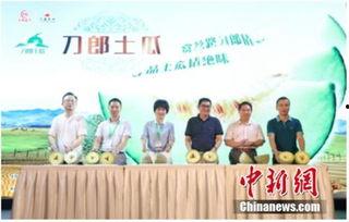 永辉超市吃瓜群众事件,一场网络舆论的风波与反思