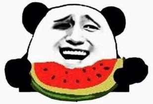 吃瓜群众大笑的声音视频,吃瓜群众欢乐声音大盘点