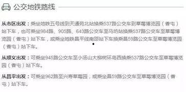 吃瓜群众第二部小说,风云再起，瓜田乱舞