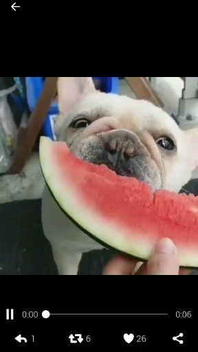 群众吃比心瓜视频大全,群众欢乐共享的甜蜜时光