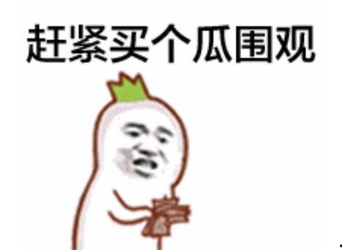 吃瓜群众小朋哥是谁