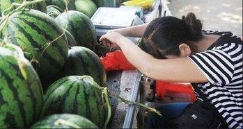 吃瓜群众卖红薯视频大全,吃瓜群众视频大全，带你领略田园美味