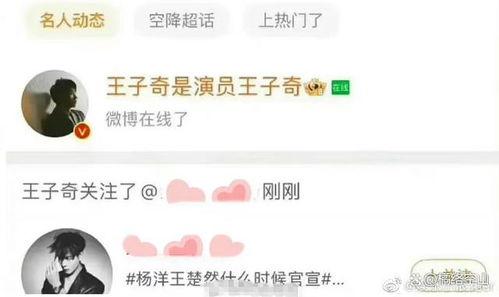 吃瓜群众王子奇简介,吃瓜群众眼中的娱乐圈风云人物