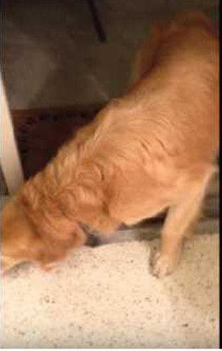 笑翻吃瓜群众的图片