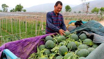 郧西县吃瓜群众是谁,揭秘郧西县“吃瓜群众”背后的故事
